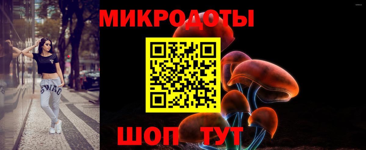 Геленджик  Псилоцибиновые грибы Cubensis  Вход с VPN  Галлюциногенные грибы Psilocybine cubensis 
